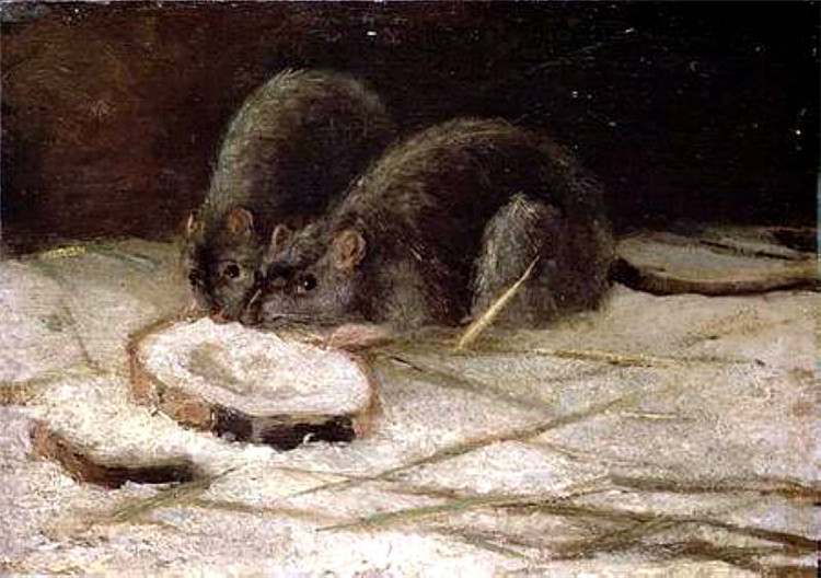 Two Rats Vincent Willem Van Gogh Oil Painting